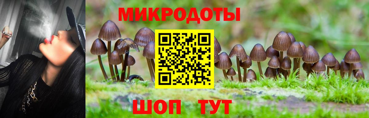 купить закладку  Галлюциногенные грибы Psilocybine cubensis  Вход с VPN  Псилоцибиновые грибы Cubensis  Слободской 